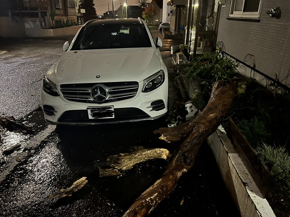 Yass_el3's tweet photo. 車に木が倒れてきた笑笑笑笑
俺も車も凹んでます https://t.co/8TLSzpdswC