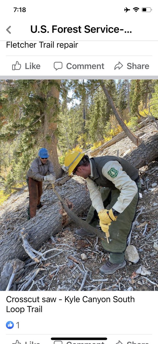 Mt Charleston Mountain Man tweet media