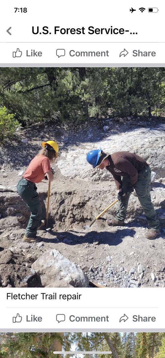 Mt Charleston Mountain Man tweet media