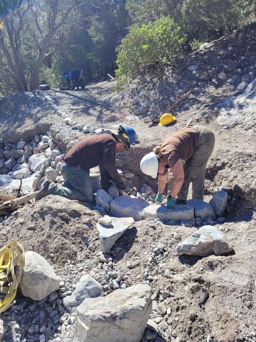 Mt Charleston Mountain Man tweet media