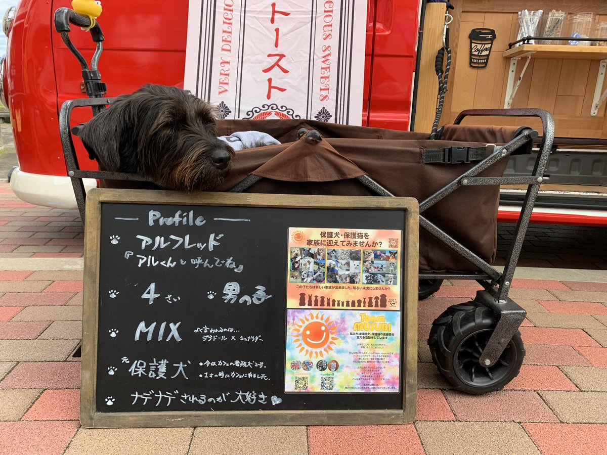 Warawa_Misaki's tweet photo. #マシコタツロウ音楽フェス
パルティホール前のキッチンカー
L.I.Bcafeさん
タツロウさん直筆のメニュー表有りますよー
フレンチトースト絶品です✨
おとなしくて可愛い
看板犬のアルくんも待ってるよー🐕🦺
#マシコタツロウ さん
#LIBcafe さん https://t.co/WRFfNZbQ3R