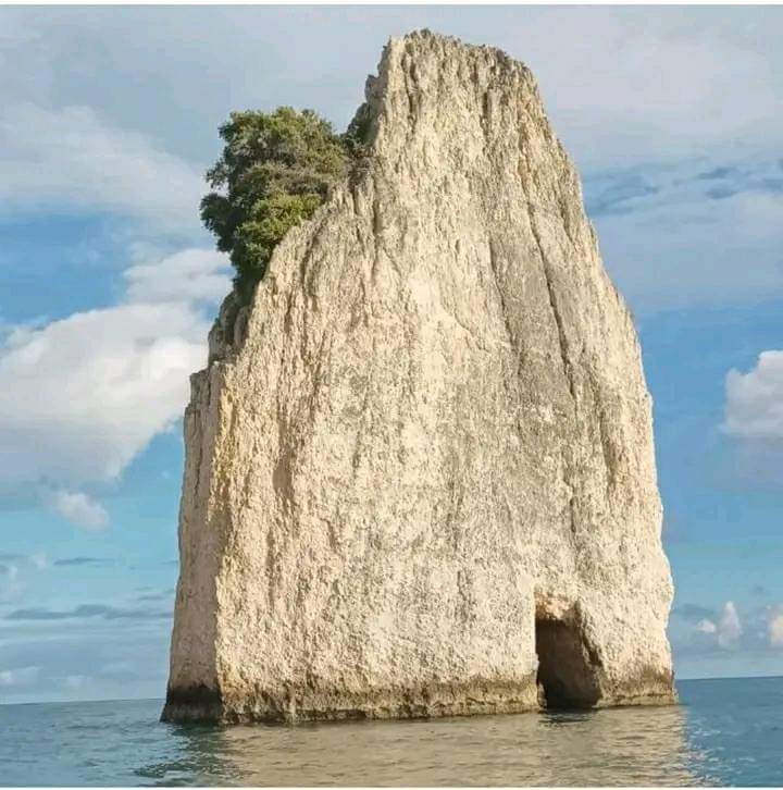 MAYITI2's tweet photo. Anse à Pirogue, île à vache, #Sud, #Haïti. https://t.co/JxvDr4i9Vh