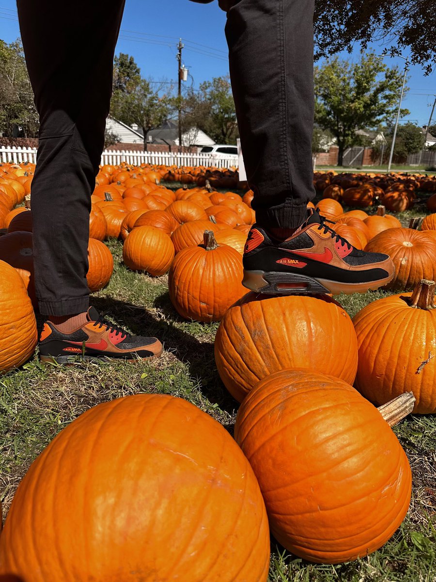 Keeping with the Halloween theme, we got the Halloween 🎃 Air Max 90 (2014). It’s a great fall shoe.

#kicksoutoflife #nikehalloween #airmax90 #nike #halloween #airmax90s #sneakerfreaker