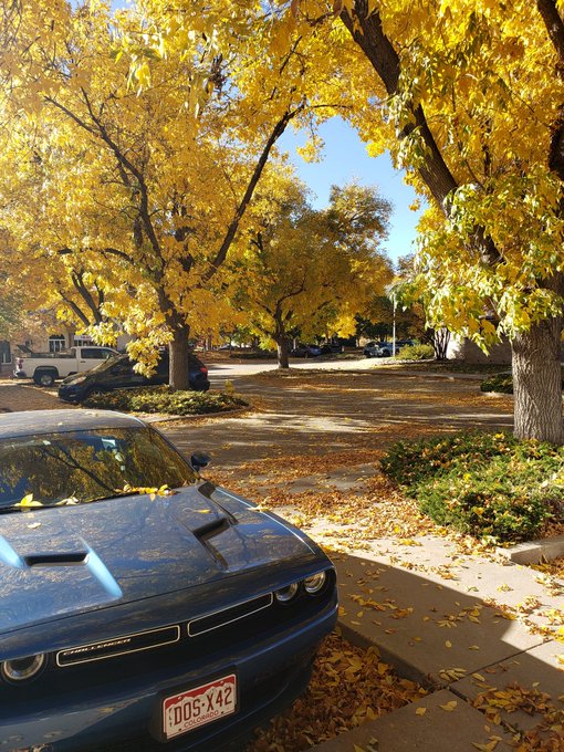 Went to Colorado for work this week. They got a pretty nice view from the office https://t.co/JkD2Pd<a href="/tag/sgfam"class="tags"><span>#sgfam</span></a>