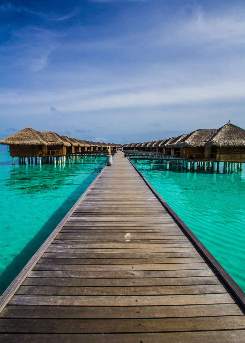 diveSSI's tweet image. There are so many dive destinations to visit around the world. But what is one dive destination that has kept you coming back to again and again?

#wearessi #divetravel #divedestination