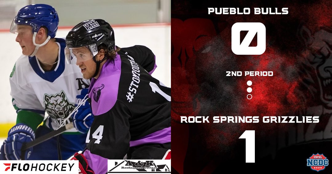 Pueblo Bulls Hockey (@Pueblobulls) / X