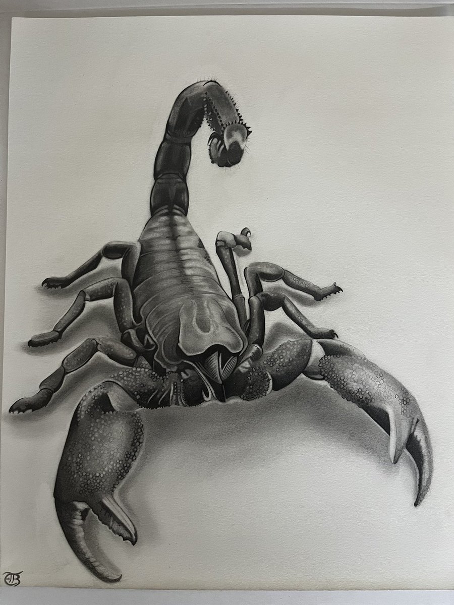 Graphiteartz's tweet image. #Scorpion #Drawing 

Check out my other drawings while you’re here!