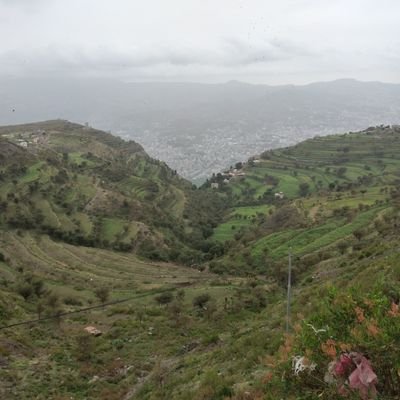 ahmet ümit sari tweet media