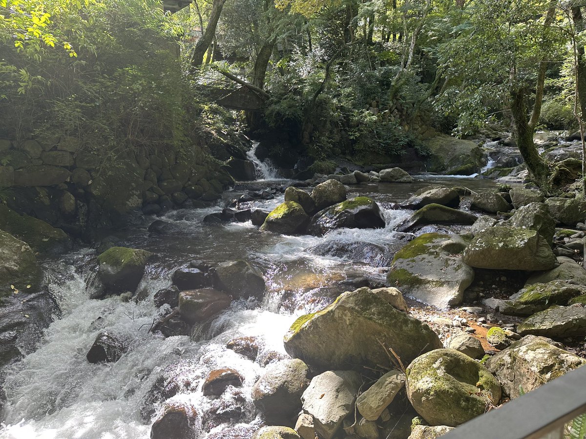 昨日は有休をとり2泊3日でリフレッシュ中です！
湯河原の川辺で癒されなう。
#湯河原