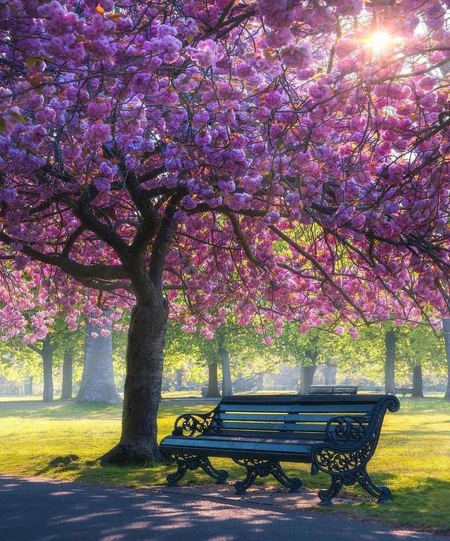 MariamB80321249's tweet photo. Good morning!🌻🌺🌻
I wish this morning will bring
You happy moments to put beautiful smile on your face.
Have a great weekend.🌷🌺🌷
#SaturdayMood https://t.co/1CXtPw7jUe