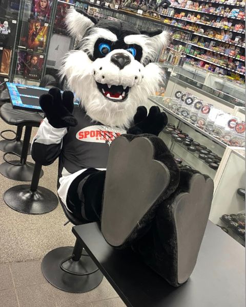 WaynesCards's tweet photo. Have you heard?This Saturday Oct 21st, Chase the Bearcat will be in the shop from 1:00-3:00pm. Come down and meet him, With Halloween being just around the corner, Chase may have some goodies to give away as well. #mascot #collectcards @UpperDeckHockey @UniversalDst @Grosnor_Dist https://t.co/XxiFGG7TA6