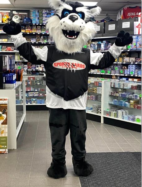 WaynesCards's tweet photo. Have you heard?This Saturday Oct 21st, Chase the Bearcat will be in the shop from 1:00-3:00pm. Come down and meet him, With Halloween being just around the corner, Chase may have some goodies to give away as well. #mascot #collectcards @UpperDeckHockey @UniversalDst @Grosnor_Dist https://t.co/XxiFGG7TA6