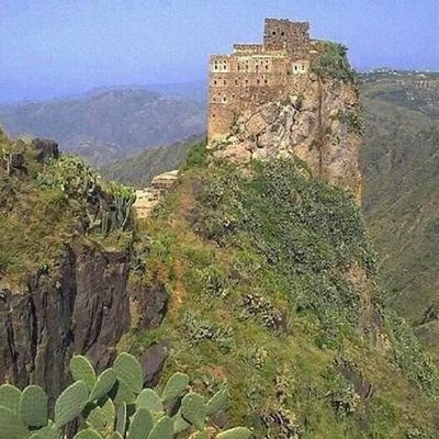 Petra Jakovina tweet media