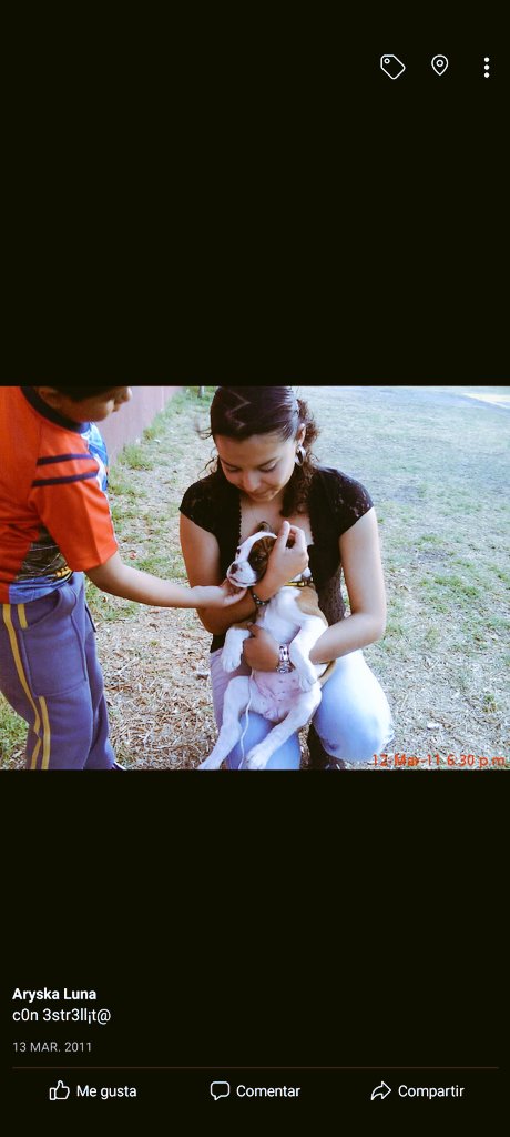 lunaary30's tweet photo. #AmigoQueNoMiente los más leales e incondicionales su amor supera toda expectativa https://t.co/j9xwPqBMNC