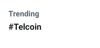 Lauren tweet media