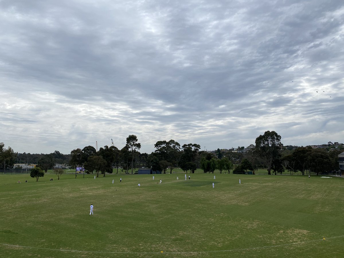 MarcellinSport's tweet photo. Our 1st XI are hosting @camberwellgram on the Bray Oval. Congrats to Joshua who made his debut this morning. Braydon 79, Lachlan 52. Marc 8-253 off it’s 50 overs.  #StriveForTheHighest https://t.co/neBEadkYCR