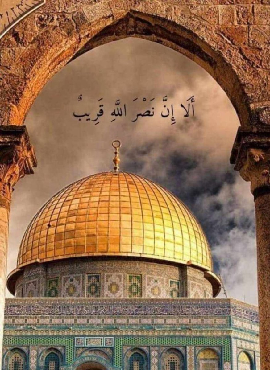 alazri7755's tweet photo. #مع_إشراقة_كل_صباح

اللهم انصر الإسلام وأهله في كل مكان

"اللهم انصر إخواننا في #فلسطين".

اللهم انصر ضعفهم وَرُد إلينا المسجد الأقصى ردًا جميلًا.
#Gaza 
#ابو_عبيدة https://t.co/Di9Hq9Ye60