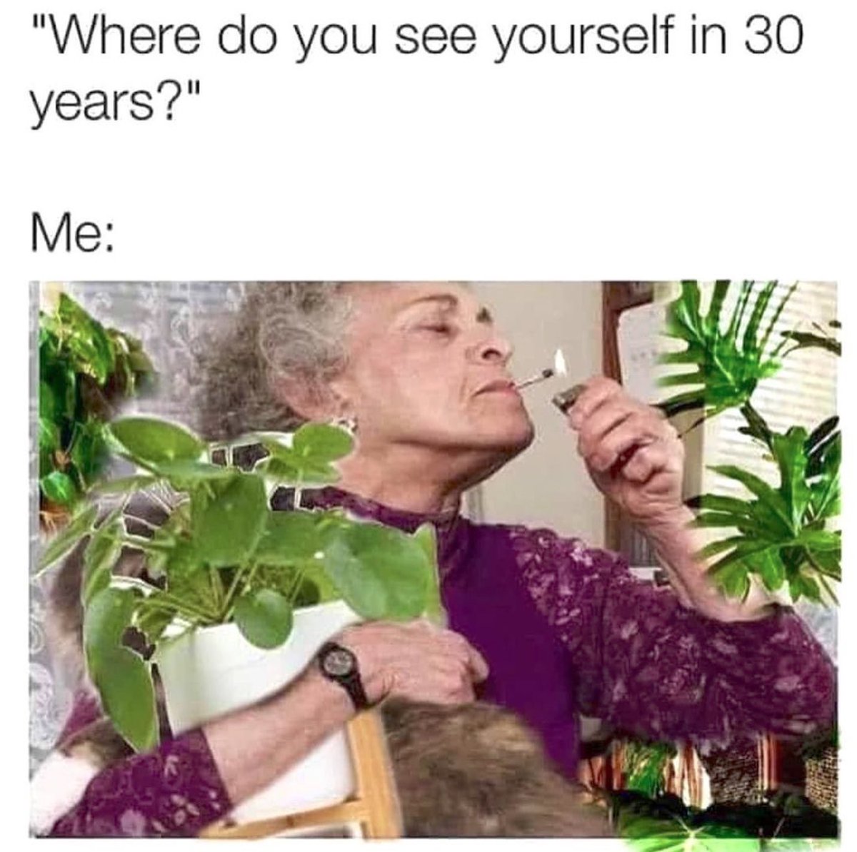 Facts 🤣⁣

📸:<a href="/beernweed/">beer n weed</a>