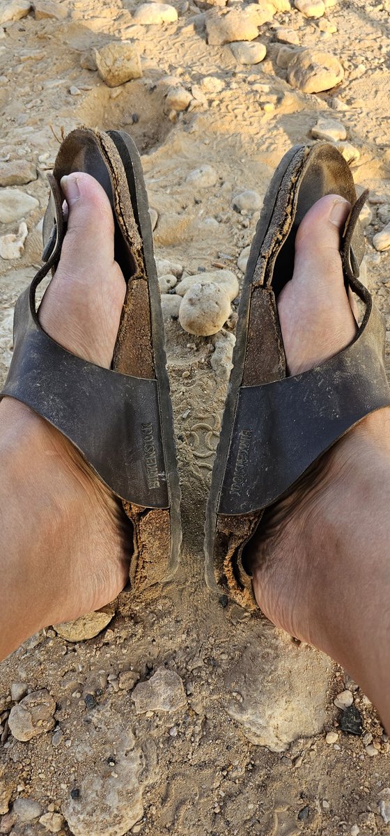 I may need to invest in another pair...these <a href="/Birkenstock/">BIRKENSTOCK</a> have finally come to the end of the road. RIP.