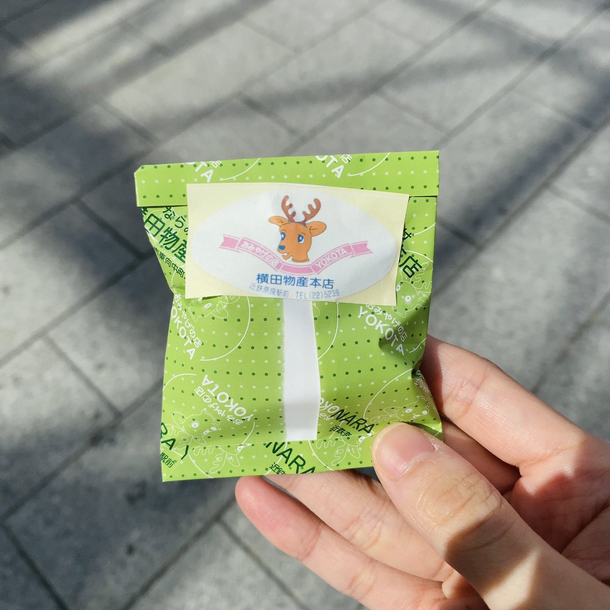 raa_kirakira's tweet photo. 奈良だいすき🦌 https://t.co/hOsdysL78g