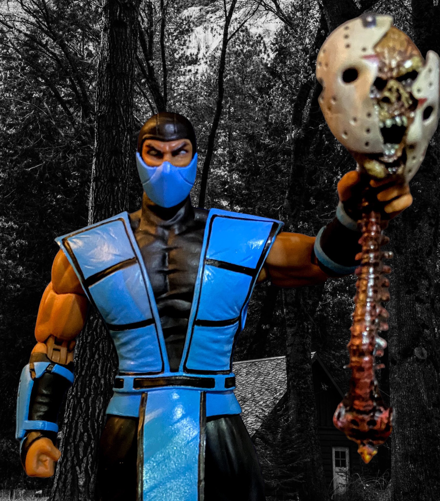 FATALITY: Sub-Zero Wins!