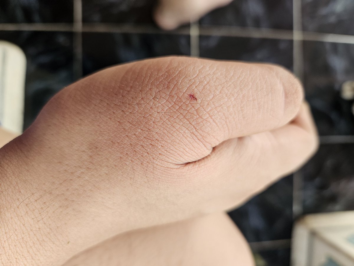 getthebit's tweet image. senut2 nyoyyyy ..kentup tawonn ndas patang nggon😵‍💫