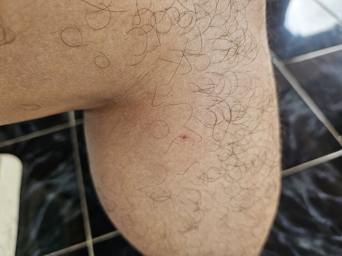 getthebit's tweet image. senut2 nyoyyyy ..kentup tawonn ndas patang nggon😵‍💫