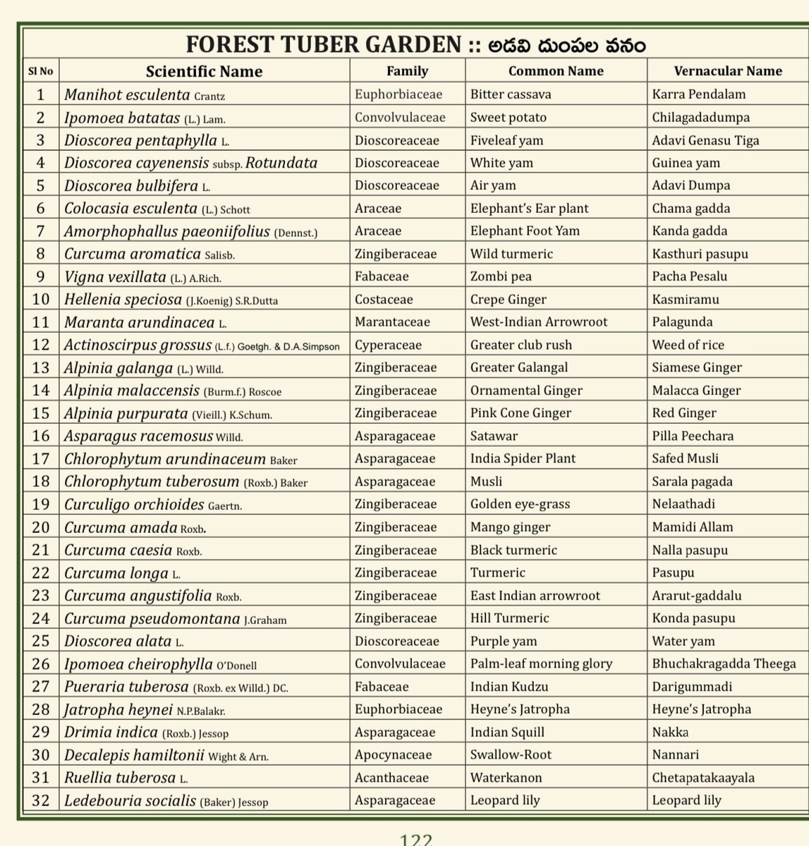 (50/75) FOREST TUBER GARDEN
<a href="/TSFDCL/">Telangana Forest Development Corporation Ltd</a>
<a href="/HarithaHaram/">Telangana Forest Dept.</a>
<a href="/FCRIHyderabad/">FCRI Hyd Telangana</a>
<a href="/TelanganaCMO/">Telangana CMO</a>
<a href="/PMOIndia/">PMO India</a>
<a href="/bsi_moefcc/">Botanical Survey of India</a>
<a href="/bgci/">Botanic Gardens Conservation International</a>
<a href="/UNBiodiversity/">UN Biodiversity</a>
<a href="/FAOclimate/">FAO Climate Change & Biodiversity</a>
<a href="/UNEP/">UN Environment Programme</a>
<a href="/RoyalBotanical/">Royal Botanical</a>
<a href="/IcfreIndia/">Indian Council of Forestry Research and Education</a>
<a href="/RoyalBotanical/">Royal Botanical</a>
<a href="/TreesforCities/">Trees for Cities</a>