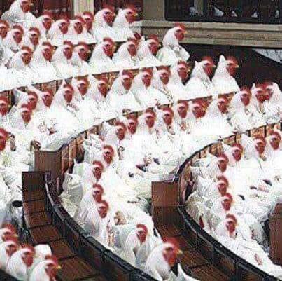 HcbvbHcbvb14's tweet photo. @hamadlahdan بر$لمان الجا$ معه العربيه https://t.co/LwyK2pPMrv