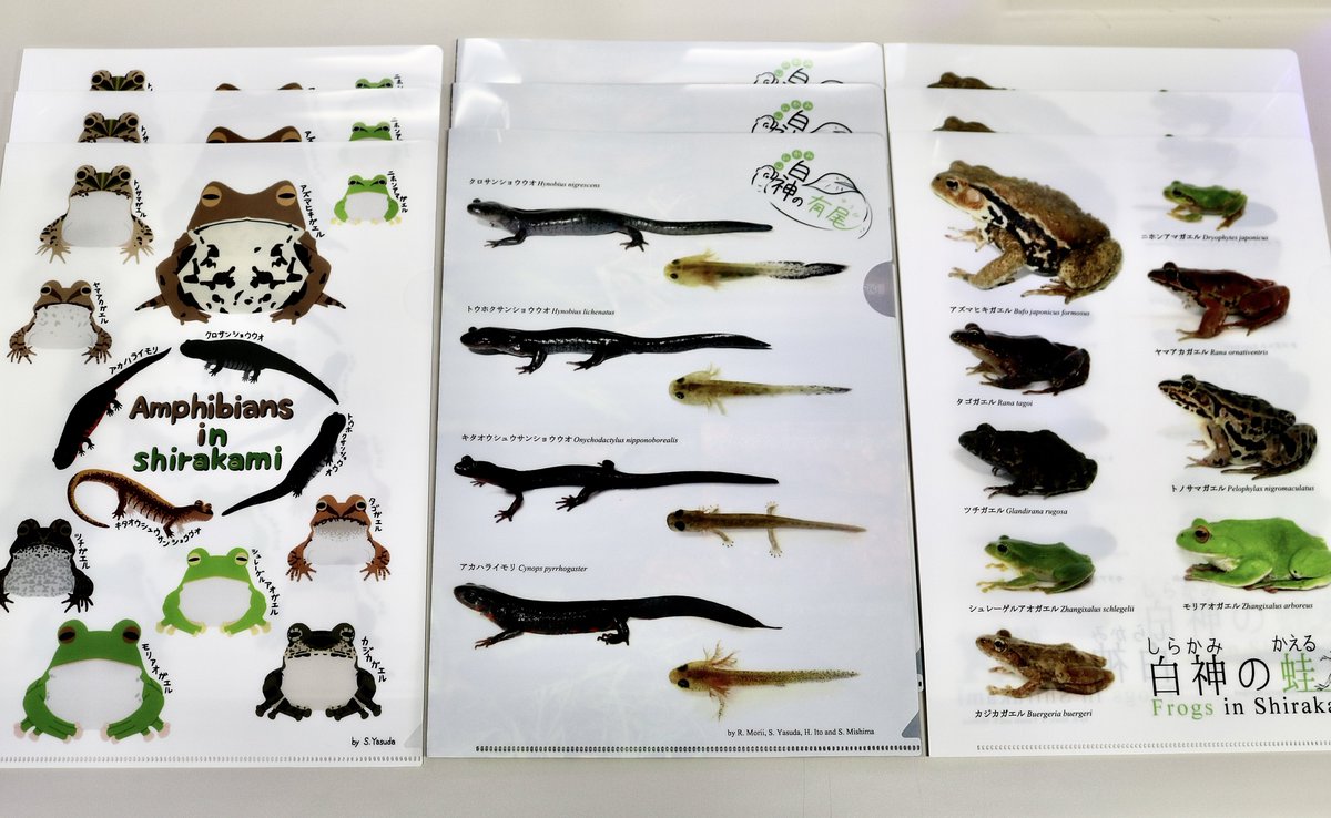 学祭でF研(<a href="/fs_society/">弘前大学フィールドサイエンス研究会（F研）</a>)のグッズをたくさん購入しました。どれも可愛くて素晴らしいのですが、特に嬉しかったのがトートバッグです。イラストを描いたのは後輩の安田(<a href="/events_rabbit/">けろたにえん</a>)！

明日も農生棟203で販売するみたいです。お近くの方はぜひ〜