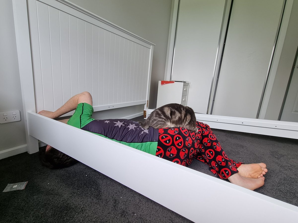 Did some DIY today and had a helper/stalker/snoozer grey kitty cat with me today