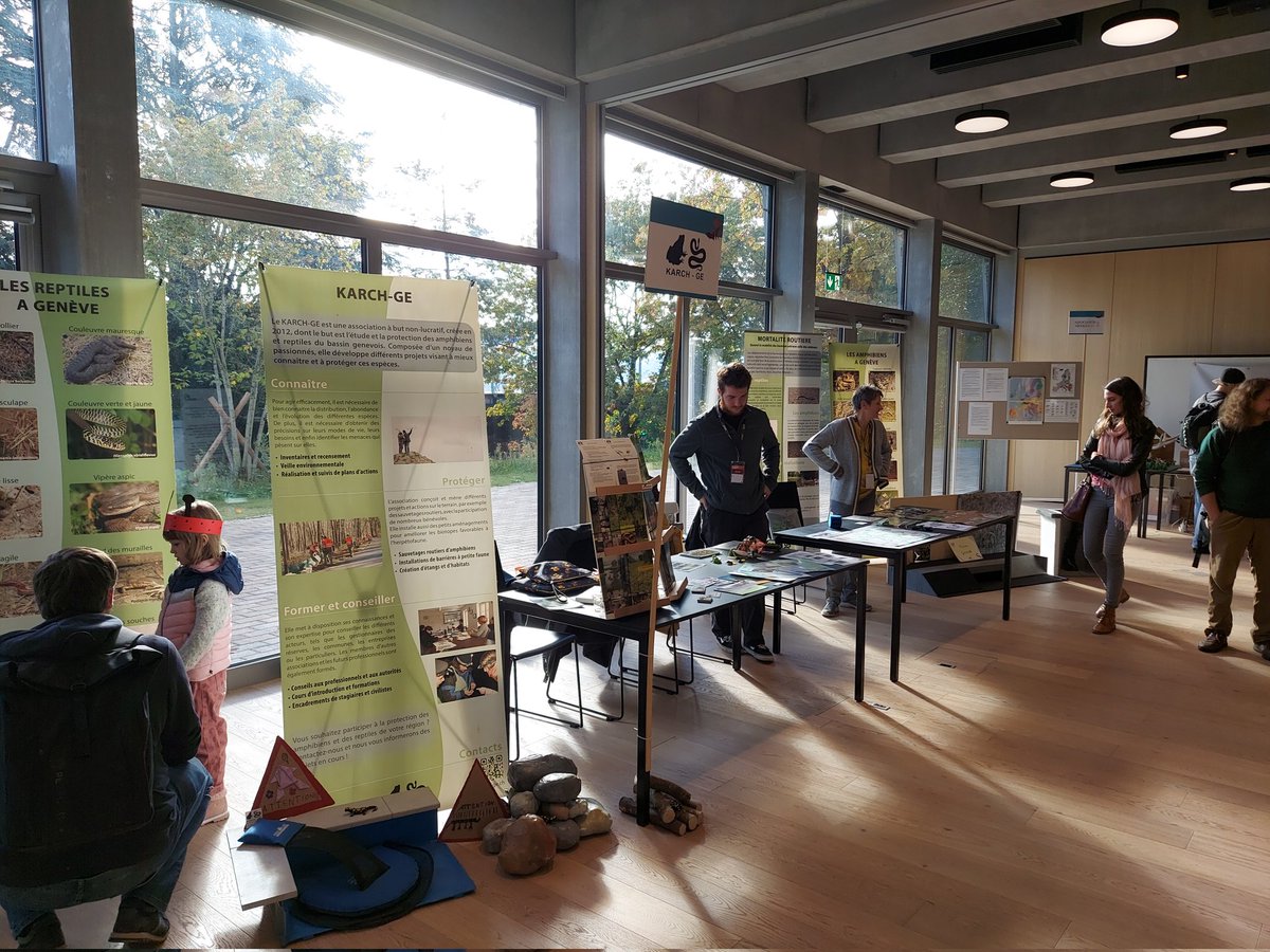 JulSaun's tweet photo. Le KARCH-GE vous accueil au festival de la Salamandre au théâtre @T_Beausobre. Croassements et sssifflements aux amateurs ! #karch #vaud #nature #festivalsalamandre https://t.co/2GT04yP9Qb