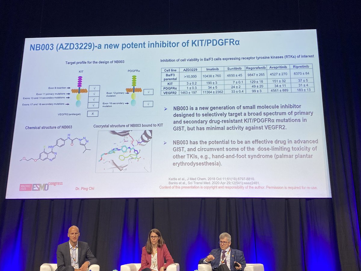 AMCzarnecka's tweet photo. #GIST holistic treatment during #ESMO2023 from #depression & #anxiety to #ctDNA #HSP90 new #KIT #PDGFR inhibitor during @rutkowskip1972 @kjetilboye #sarcoma session https://t.co/Tb8dT0GGG1