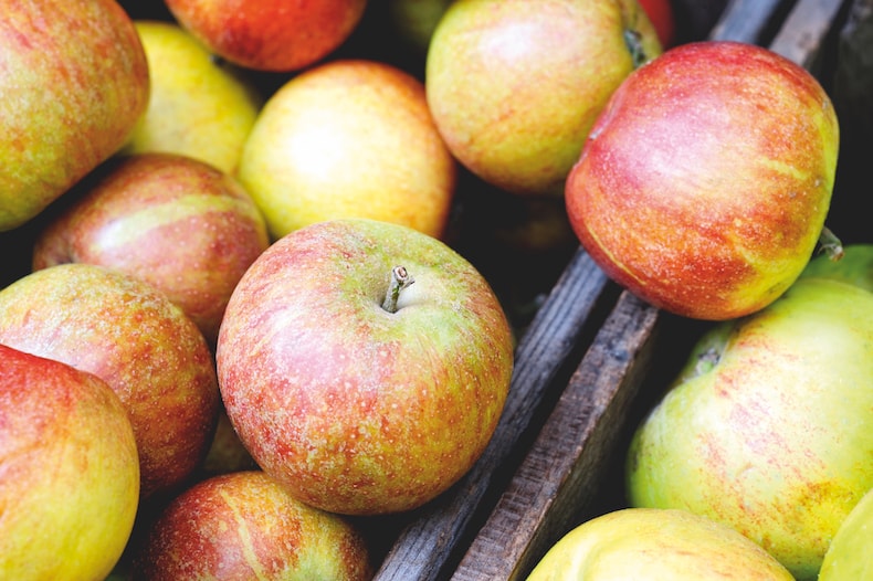 Happy National Apple Day! Marie Shallcross of Plews Garden Design recommends planting budget-friendly bare root apple trees to celebrate. Find expert planting and growing tips here: hub.suttons.co.uk/gardening-advi…

#appleday #NationalAppleDay