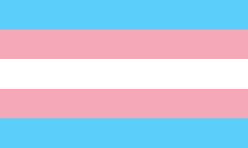 We at the Students' Union stand with our trans brothers, sisters, and siblings. Please read our latest statement around trans alliance on our website. Linked below. buff.ly/45DcoLc