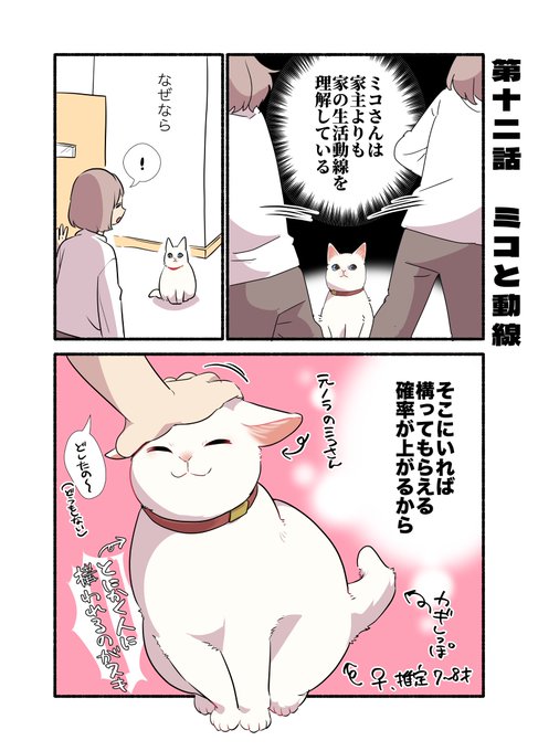 人間に構われるためなら手段を選ばない猫の話 再掲(1/2) #漫画が読めるハッシュタグ