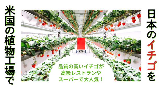 solverstory's tweet photo. 未来の教科書に載るスタートアップ三連チャン

その2

https://t.co/kmbBeQPUTu https://t.co/3UxujCogqT