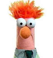Evan_M_G's tweet image. Joe Lolley looks a bit like Beaker from the Muppets #SYDvMVC