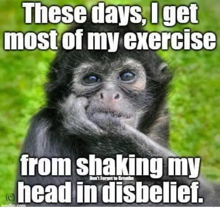 Dennis Staples (@gosporttomarlow) on Twitter photo 