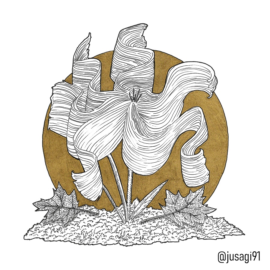 Jusagi91's tweet photo. Day 20: FROST ๐ฎโ๏ธ
#inktober #inktober2023 #inktoberfrost #frost #escarcha #ink #golden #silver #sketchbook #jusagi91 #frostflower #myart #traditionalart #october #staedler #pen #pentouch #pentouchsakura #inktober2023frost #inktoberchallenge #inktober52 #inktobermexico https://t.co/KbVXXvhK5G
