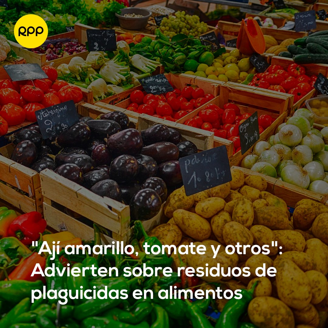 ⚠️ 🌶️🍇🥦🍎🍅 El Concytec advirtió que existe un alto índice de plaguicidas en alimentos de origen agrícola en los mercados del Perú, tales como ají amarillo, tomate, manzana, uva y brócoli.

👉 Toda la información en bit.ly/3tMFkmy