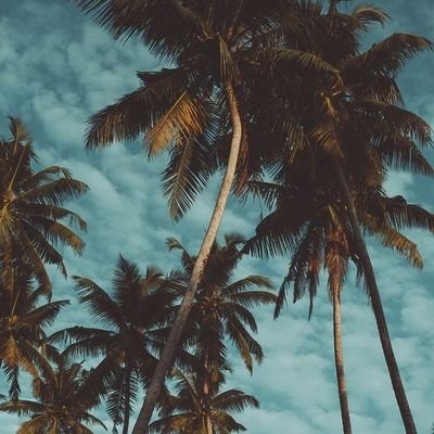 romario reyes tweet media