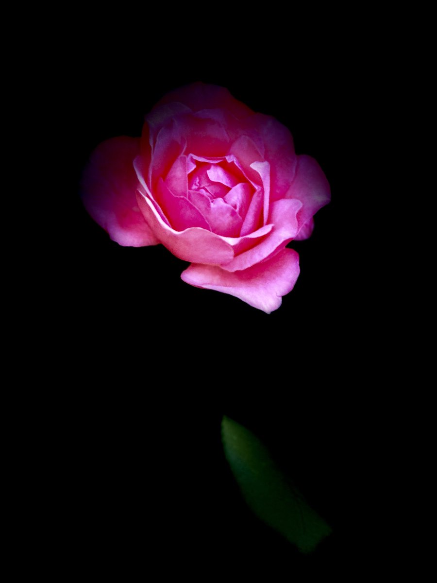 educationtr's tweet image. #October21st🌍