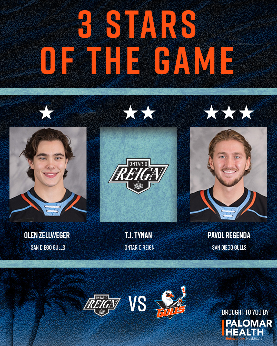 San Diego Gulls (@SDGullsAHL) / X