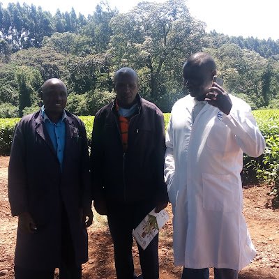 se joga véy tweet media