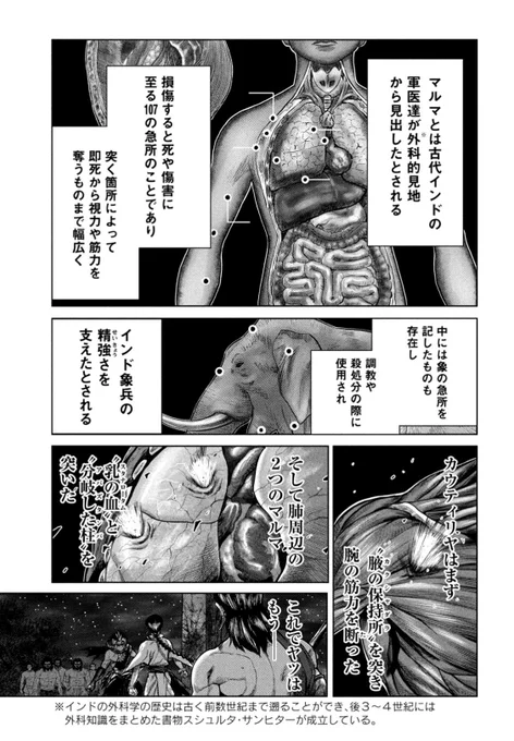 インドの"マルマ"をご存知か?(2/2) 