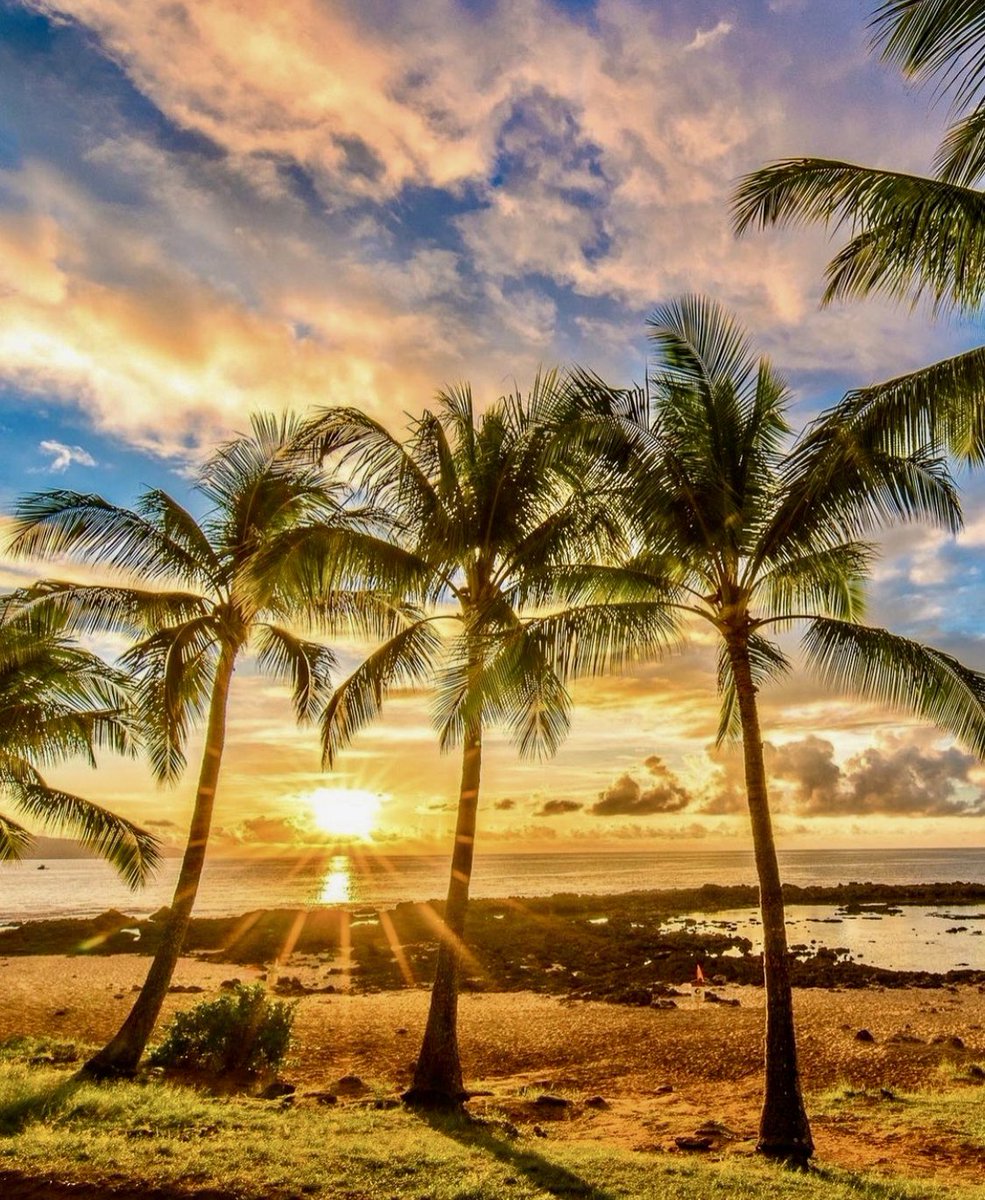vacaytube's tweet photo. Good Morning My Friends ☕️👋

Happy weekend 🎉 

📍Haleiwa, Hawaii https://t.co/a4MczrU8cy