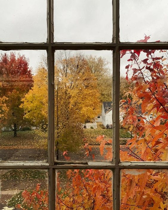 etherealdior's tweet photo. fall weekends https://t.co/MwWhCl4ZqM