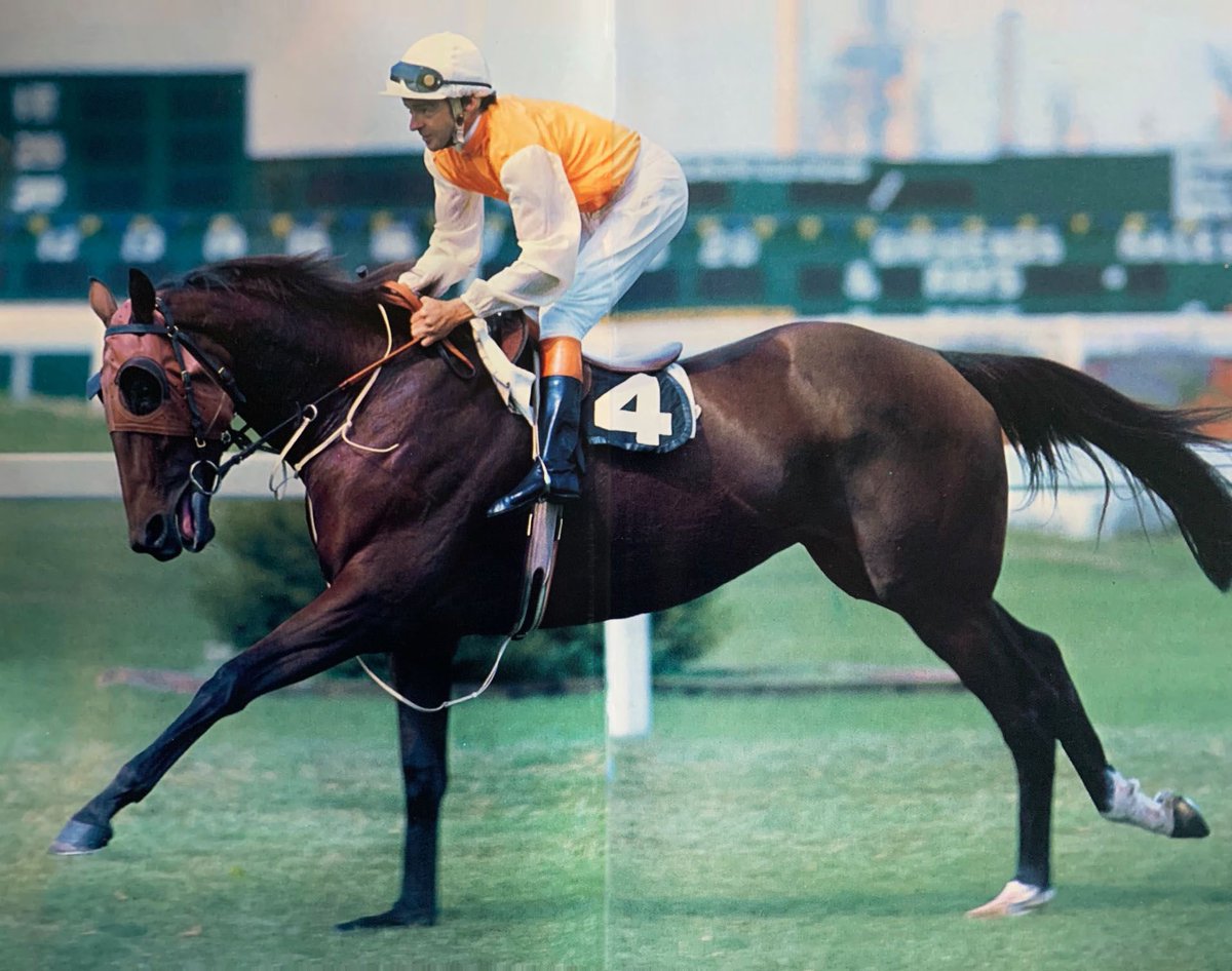 Relly66's tweet photo. Happy Caulfield Cup day to my π#yangtze #hownow https://t.co/wOtbXYlaVS