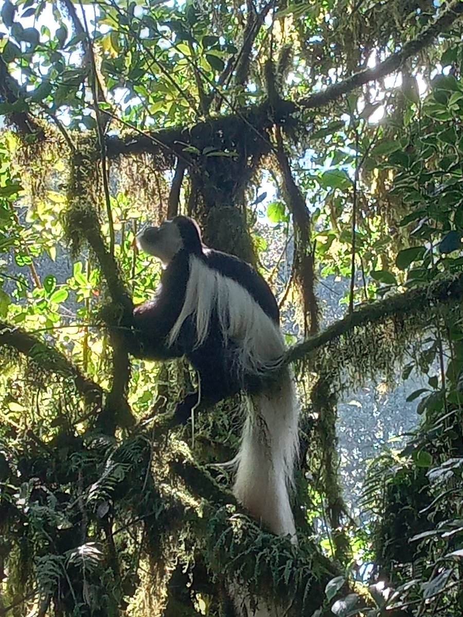 Tanjaroadvent's tweet image. 